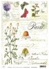 Papel Decoupage Soft S0001